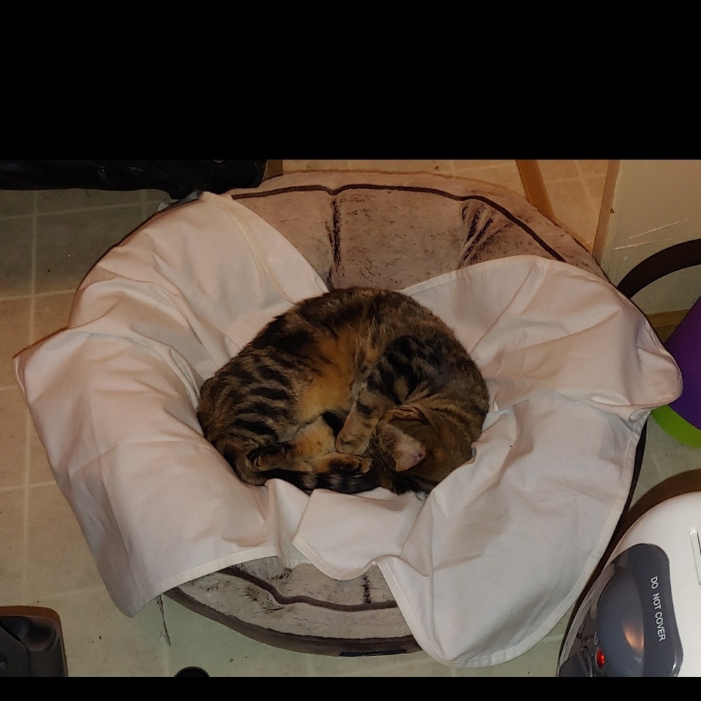 Meet your Posher, Katherine